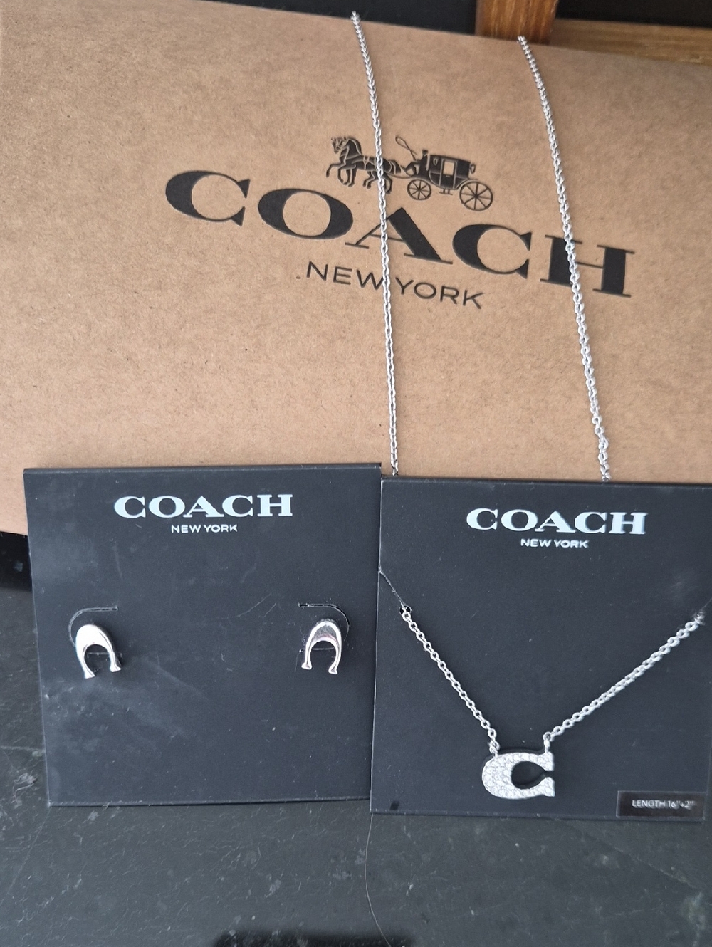 Coach Silver-Tone 'C' Crystal Pendant Necklace with Horseshoe Studs